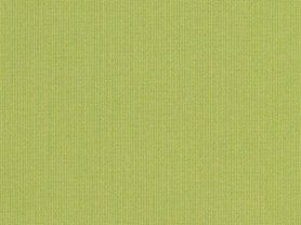 Sunbrella Spectrum Kiwi